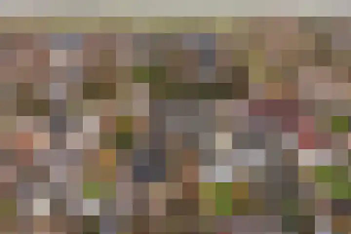 Lisdodde 7 Buitenpost thumbnail 47