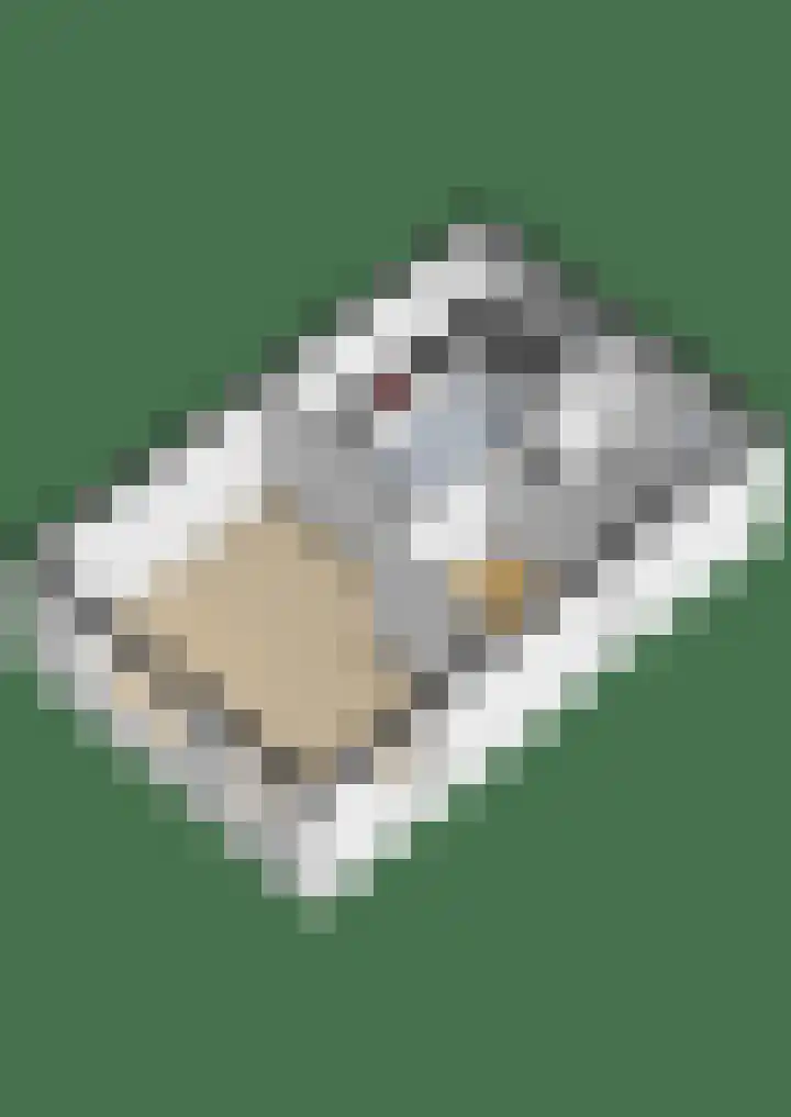 Lisdodde 7 Buitenpost thumbnail 49