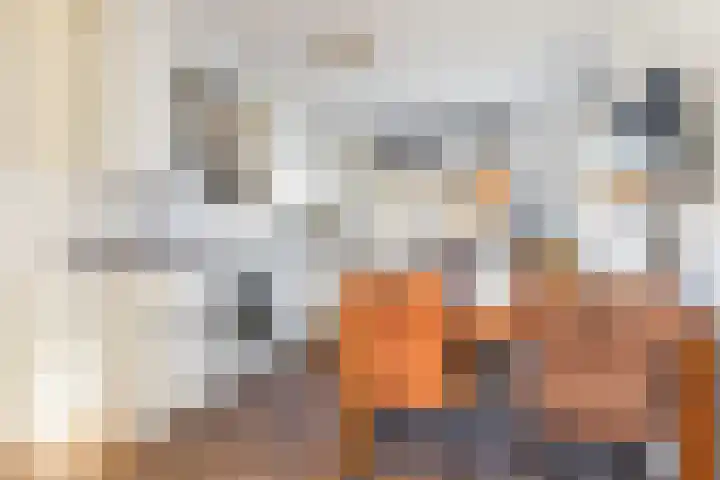 Lisdodde 7 Buitenpost thumbnail 5