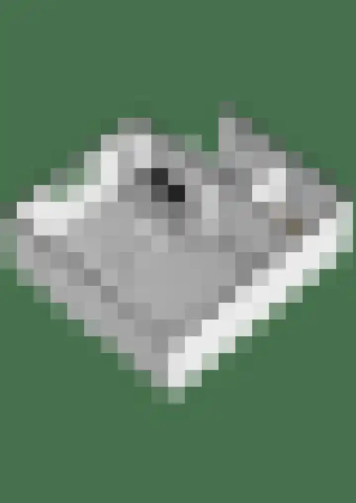 Lisdodde 7 Buitenpost thumbnail 55