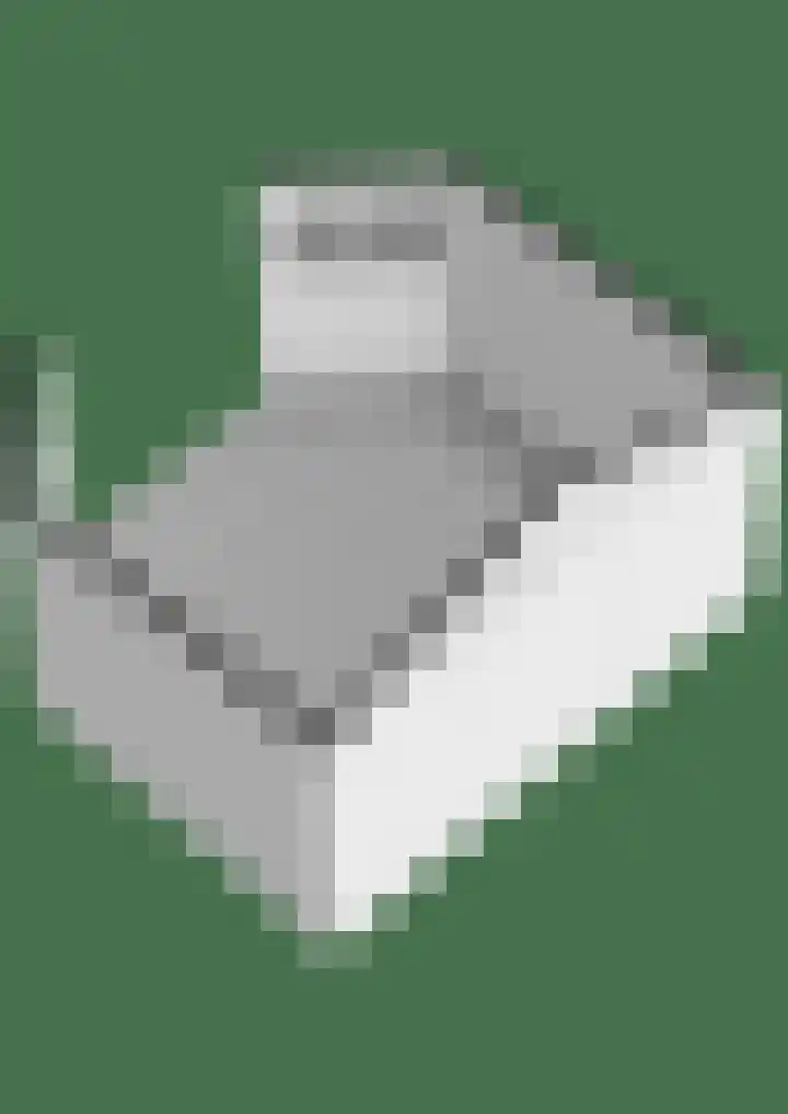 Lisdodde 7 Buitenpost thumbnail 59