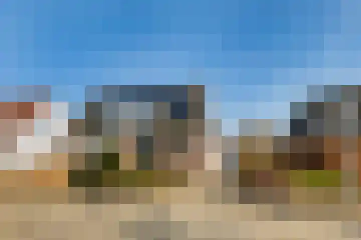 Lisdodde 7 Buitenpost thumbnail 7