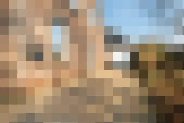 Lisdodde 7 Buitenpost thumbnail 8