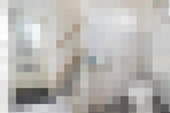 Lisdodde 7 Buitenpost thumbnail 9
