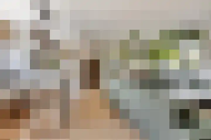 Lisdodde 7 Heerjansdam thumbnail 10