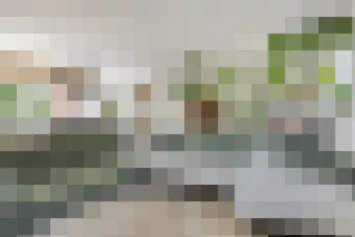 Lisdodde 7 Heerjansdam thumbnail 11