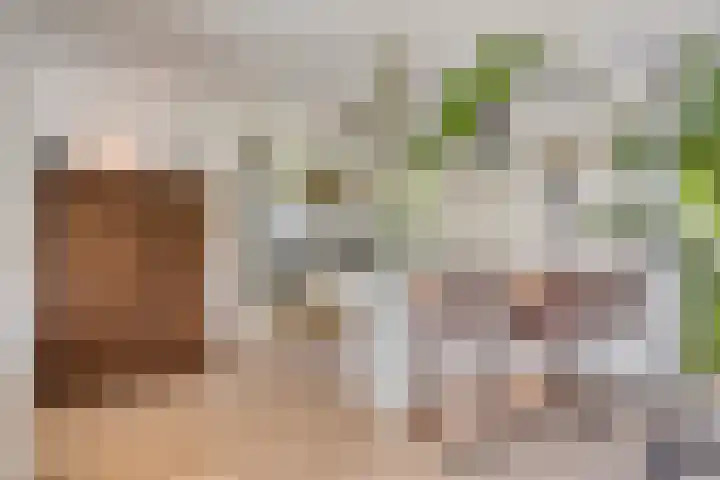 Lisdodde 7 Heerjansdam thumbnail 12