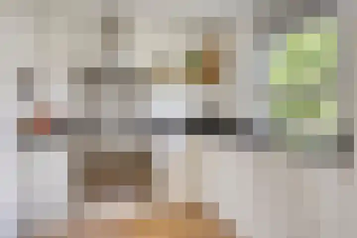 Lisdodde 7 Heerjansdam thumbnail 13