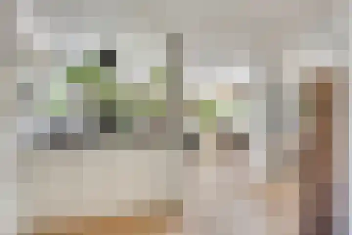 Lisdodde 7 Heerjansdam thumbnail 14