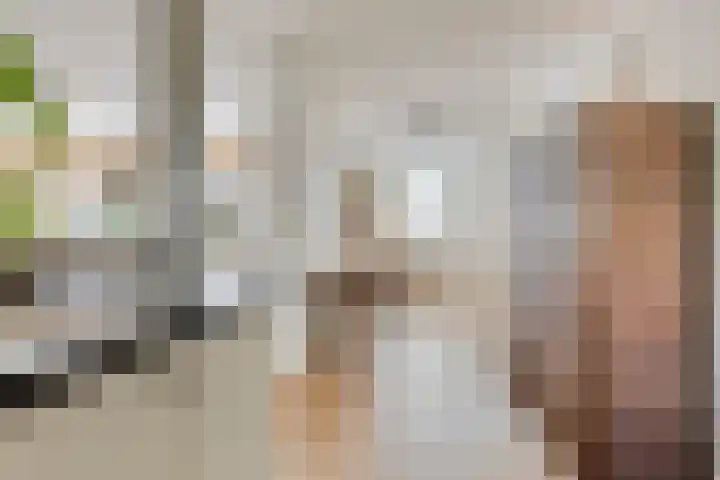Lisdodde 7 Heerjansdam thumbnail 15