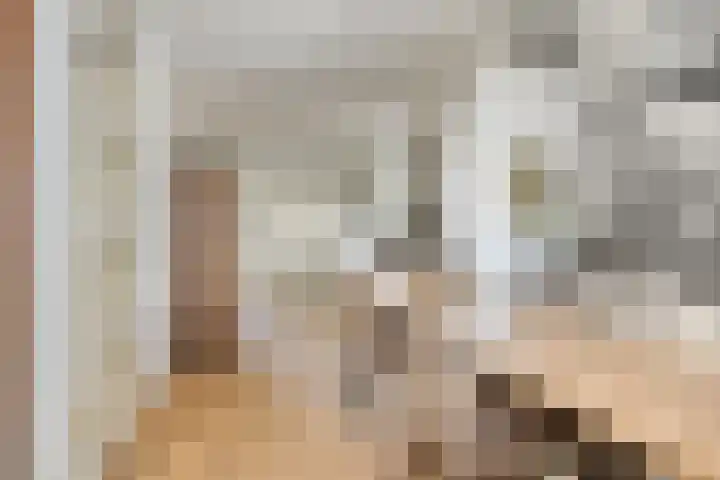 Lisdodde 7 Heerjansdam thumbnail 16