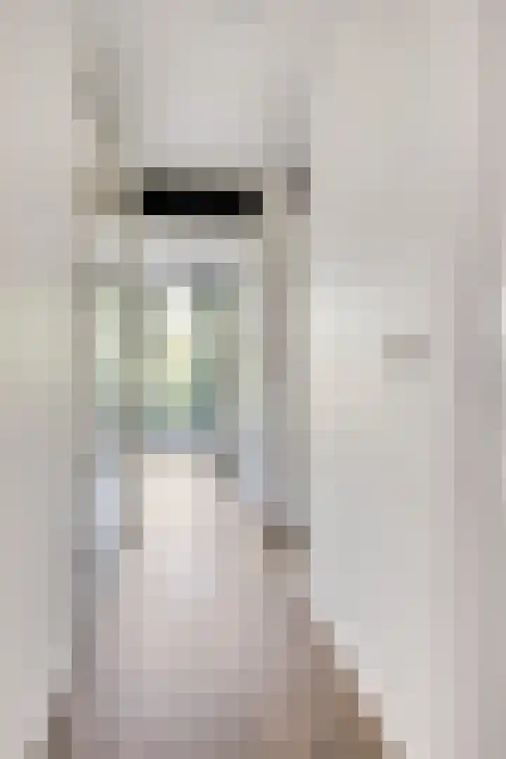 Lisdodde 7 Heerjansdam thumbnail 18
