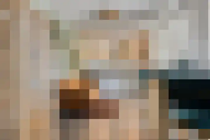 Lisdodde 7 Heerjansdam thumbnail 19