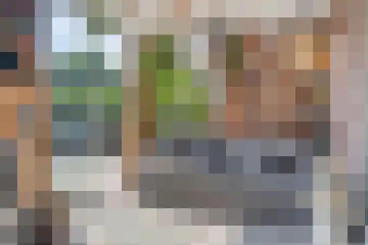 Lisdodde 7 Heerjansdam thumbnail 22