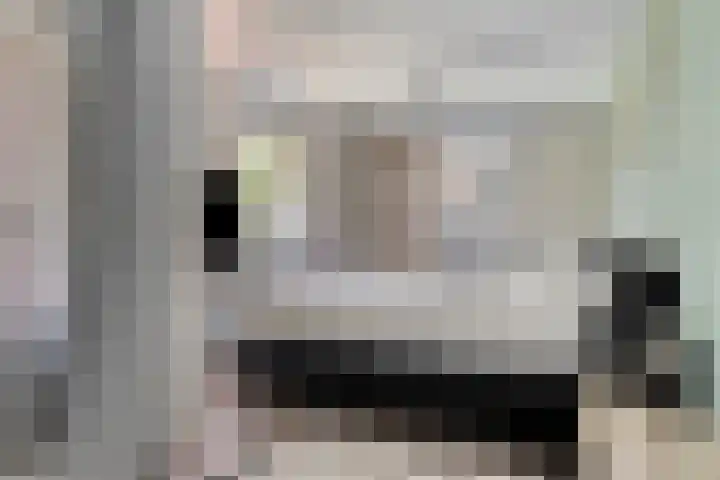 Lisdodde 7 Heerjansdam thumbnail 23