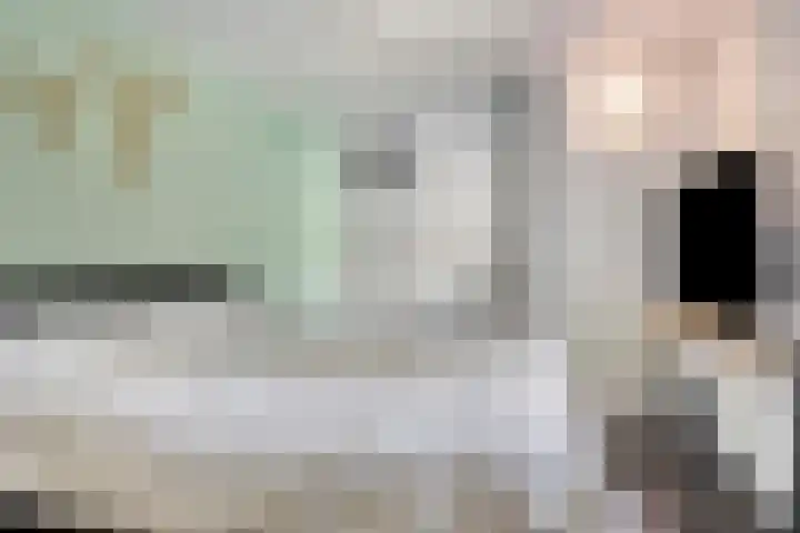 Lisdodde 7 Heerjansdam thumbnail 24