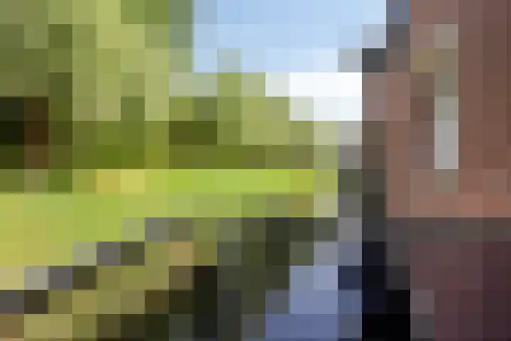 Lisdodde 7 Heerjansdam thumbnail 25