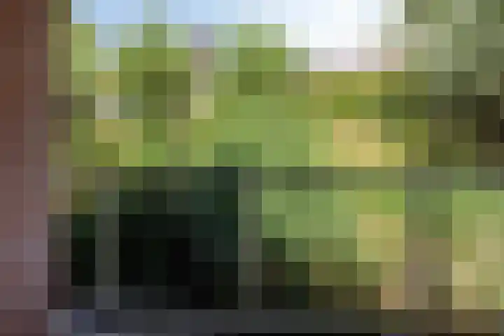 Lisdodde 7 Heerjansdam thumbnail 26