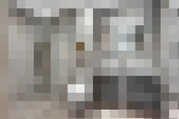 Lisdodde 7 Heerjansdam thumbnail 27