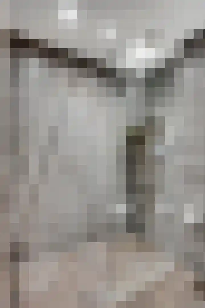 Lisdodde 7 Heerjansdam thumbnail 28