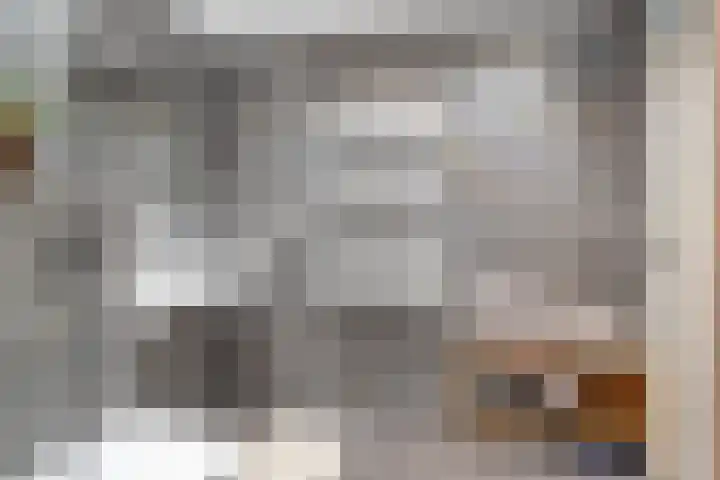 Lisdodde 7 Heerjansdam thumbnail 30