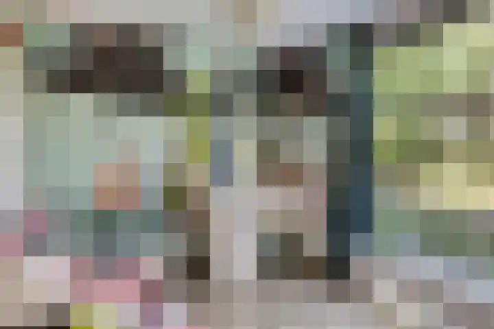 Lisdodde 7 Heerjansdam thumbnail 31