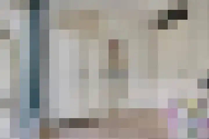 Lisdodde 7 Heerjansdam thumbnail 32