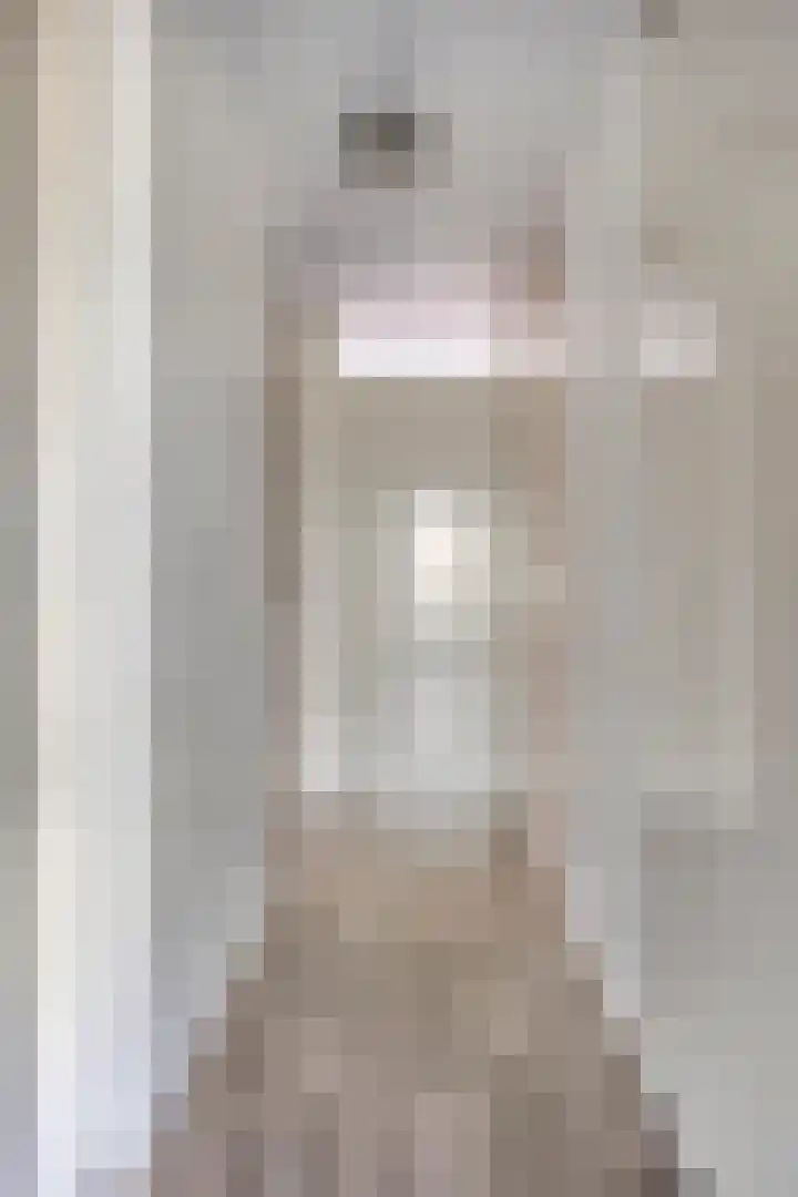 Lisdodde 7 Heerjansdam thumbnail 33