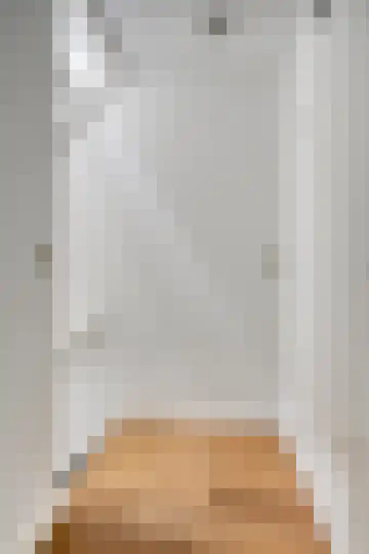 Lisdodde 7 Heerjansdam thumbnail 34