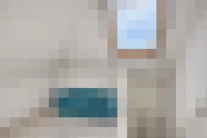 Lisdodde 7 Heerjansdam thumbnail 35