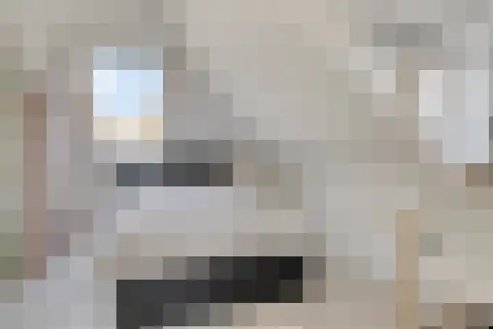Lisdodde 7 Heerjansdam thumbnail 36
