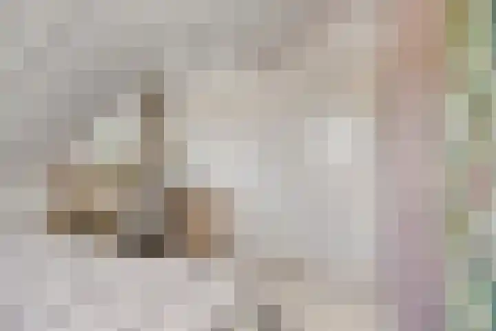 Lisdodde 7 Heerjansdam thumbnail 37