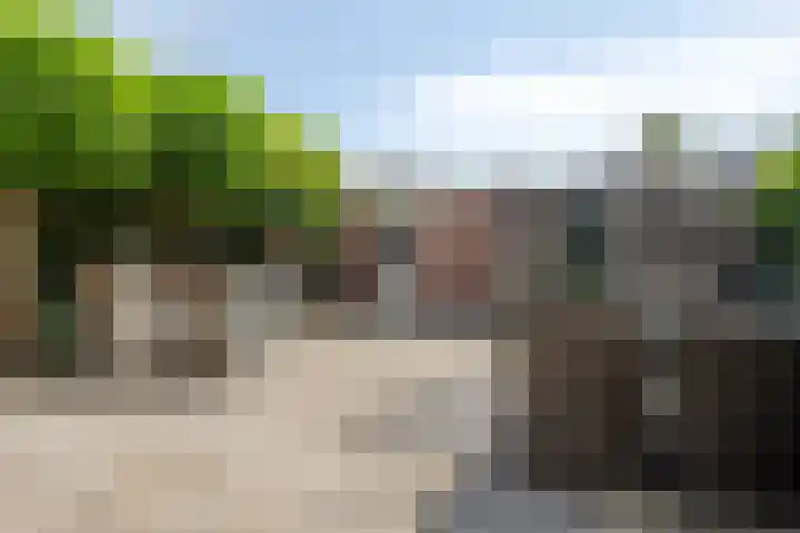 Lisdodde 7 Heerjansdam thumbnail 38