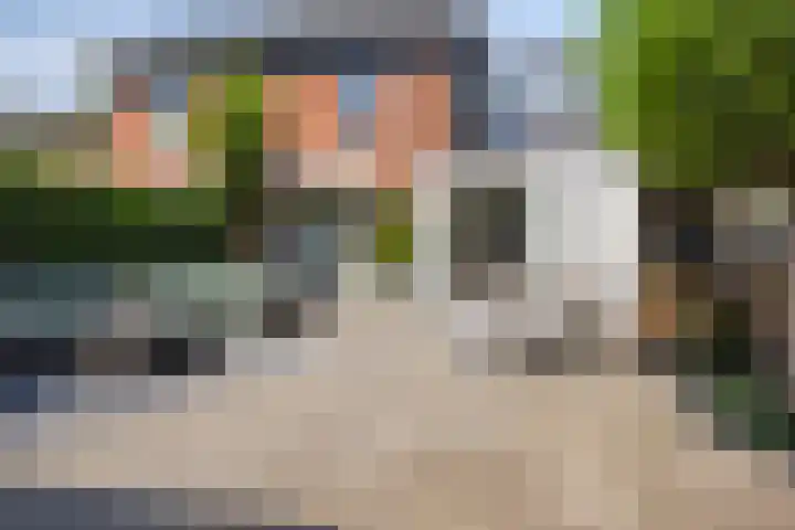 Lisdodde 7 Heerjansdam thumbnail 39