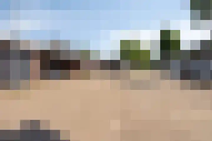 Lisdodde 7 Heerjansdam thumbnail 4