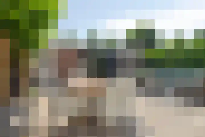 Lisdodde 7 Heerjansdam thumbnail 40