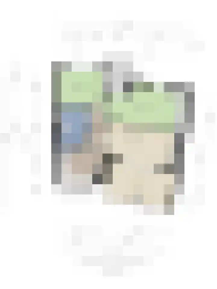 Lisdodde 7 Heerjansdam thumbnail 42