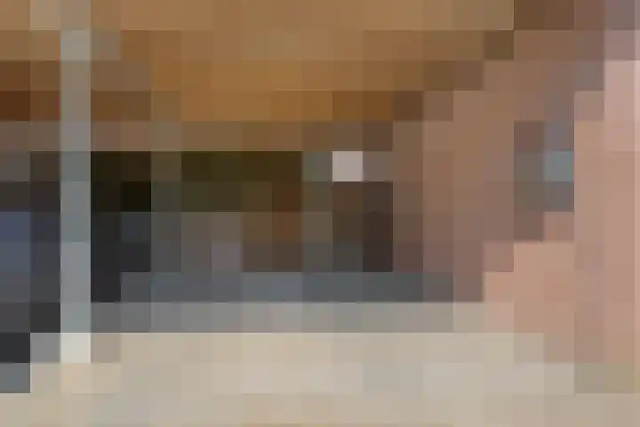 Lisdodde 7 Heerjansdam thumbnail 5