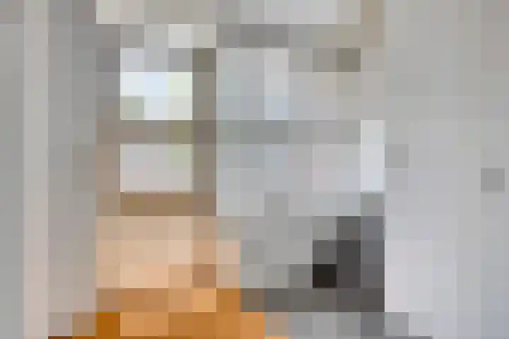 Lisdodde 7 Heerjansdam thumbnail 6