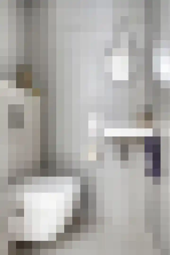 Lisdodde 7 Heerjansdam thumbnail 7