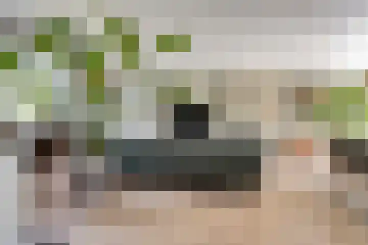 Lisdodde 7 Heerjansdam thumbnail 8