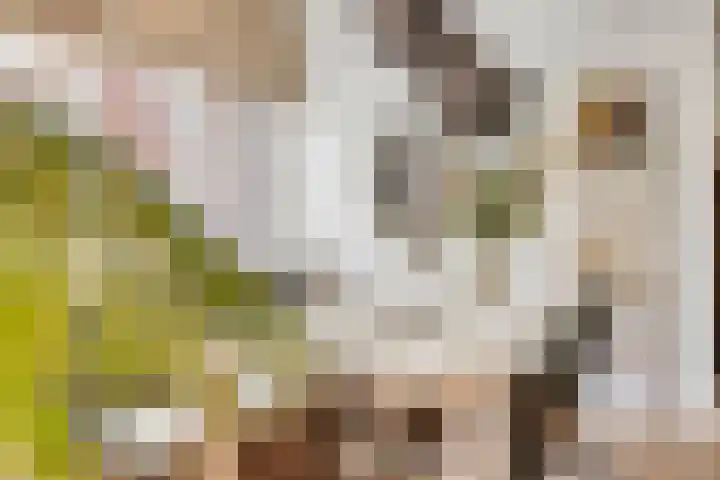 Lisdodde 7 Heerjansdam thumbnail 9