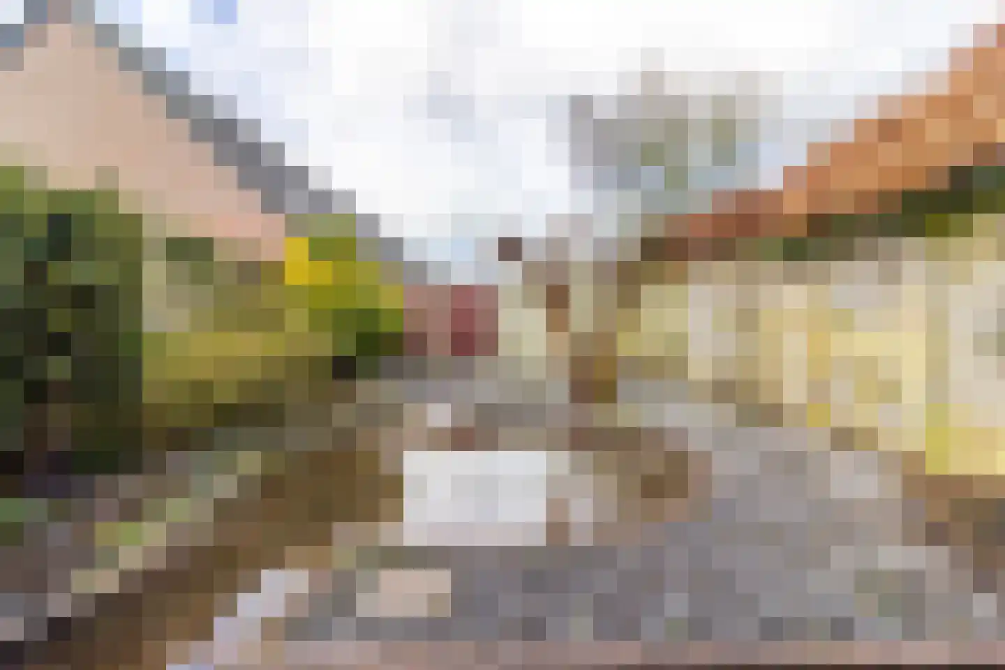Lisdodde 7 Soest thumbnail 14