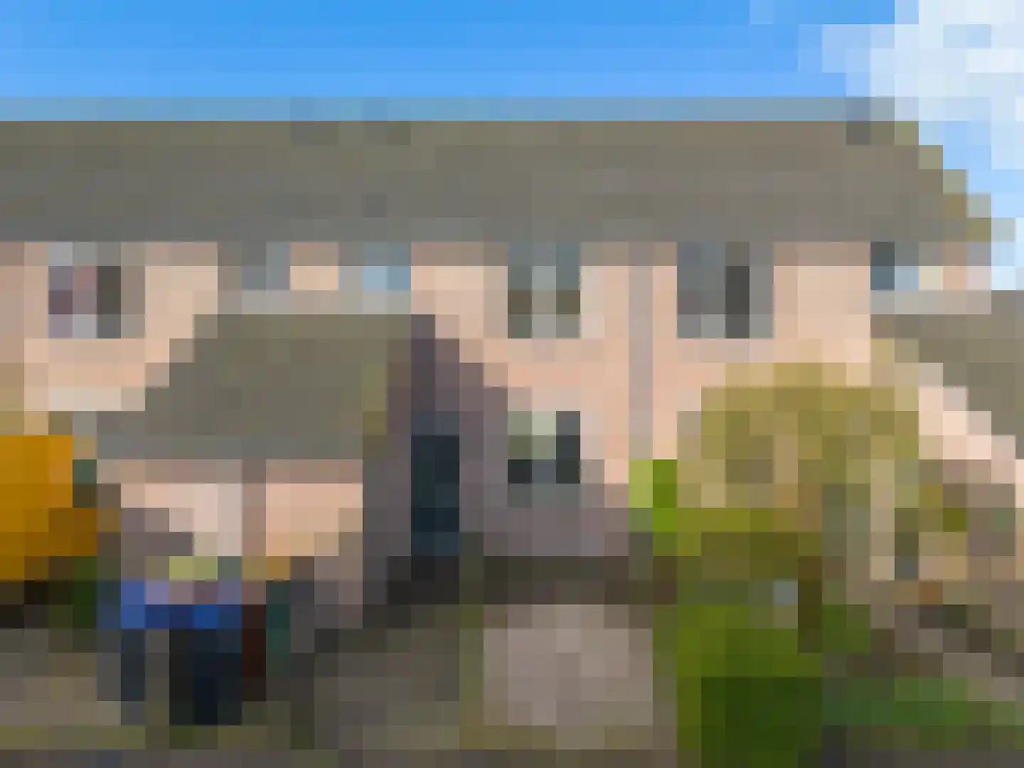 Lisdodde 7 Soest thumbnail 17