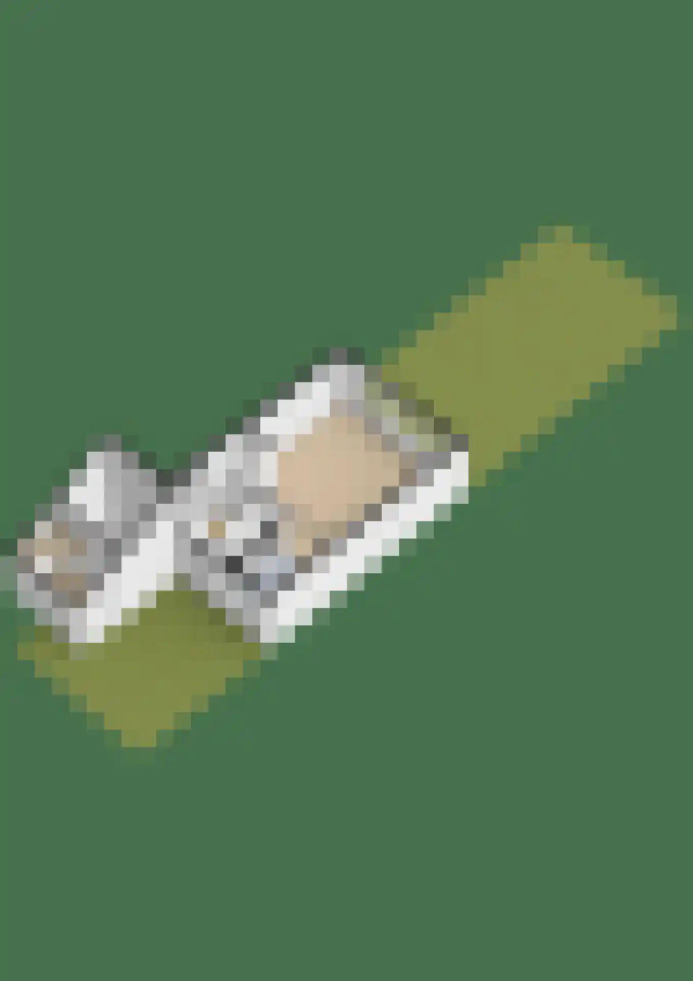 Lisdodde 7 Soest thumbnail 30