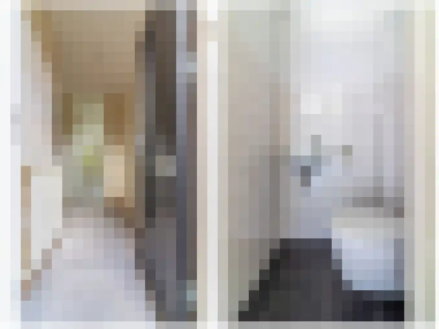 Lisdodde 7 Soest thumbnail 6