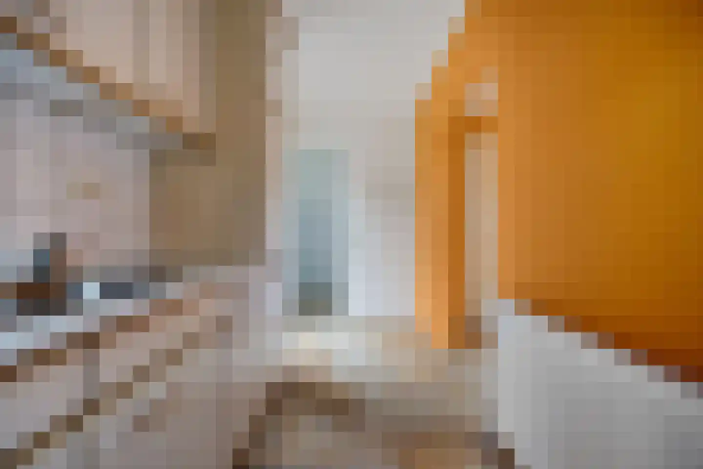Lisdodde 76 Nieuw-Buinen thumbnail 11