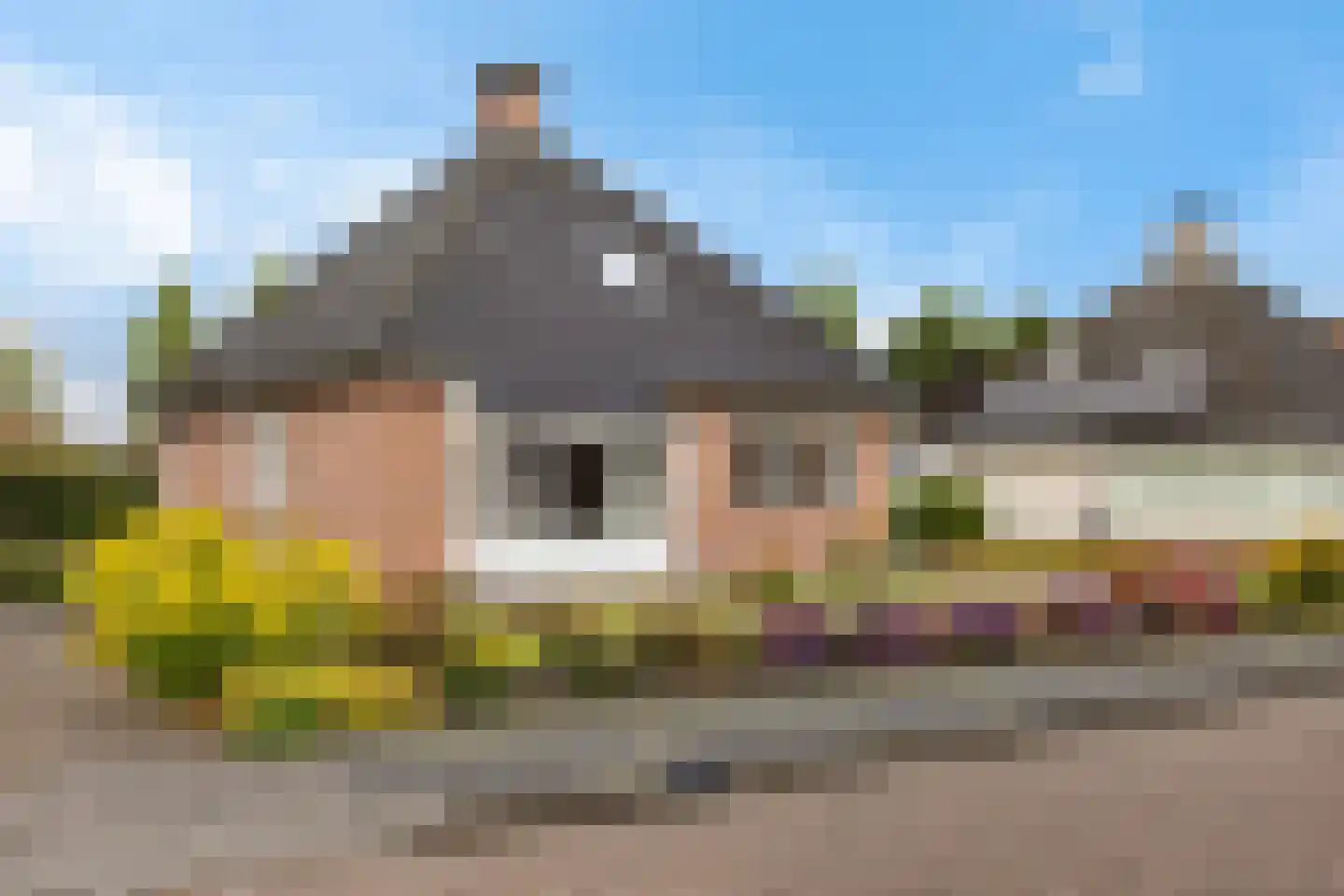 Lisdodde 76 Nieuw-Buinen foto 2