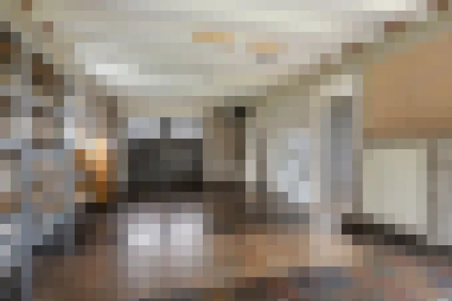 Lisdodde 76 Nieuw-Buinen thumbnail 24