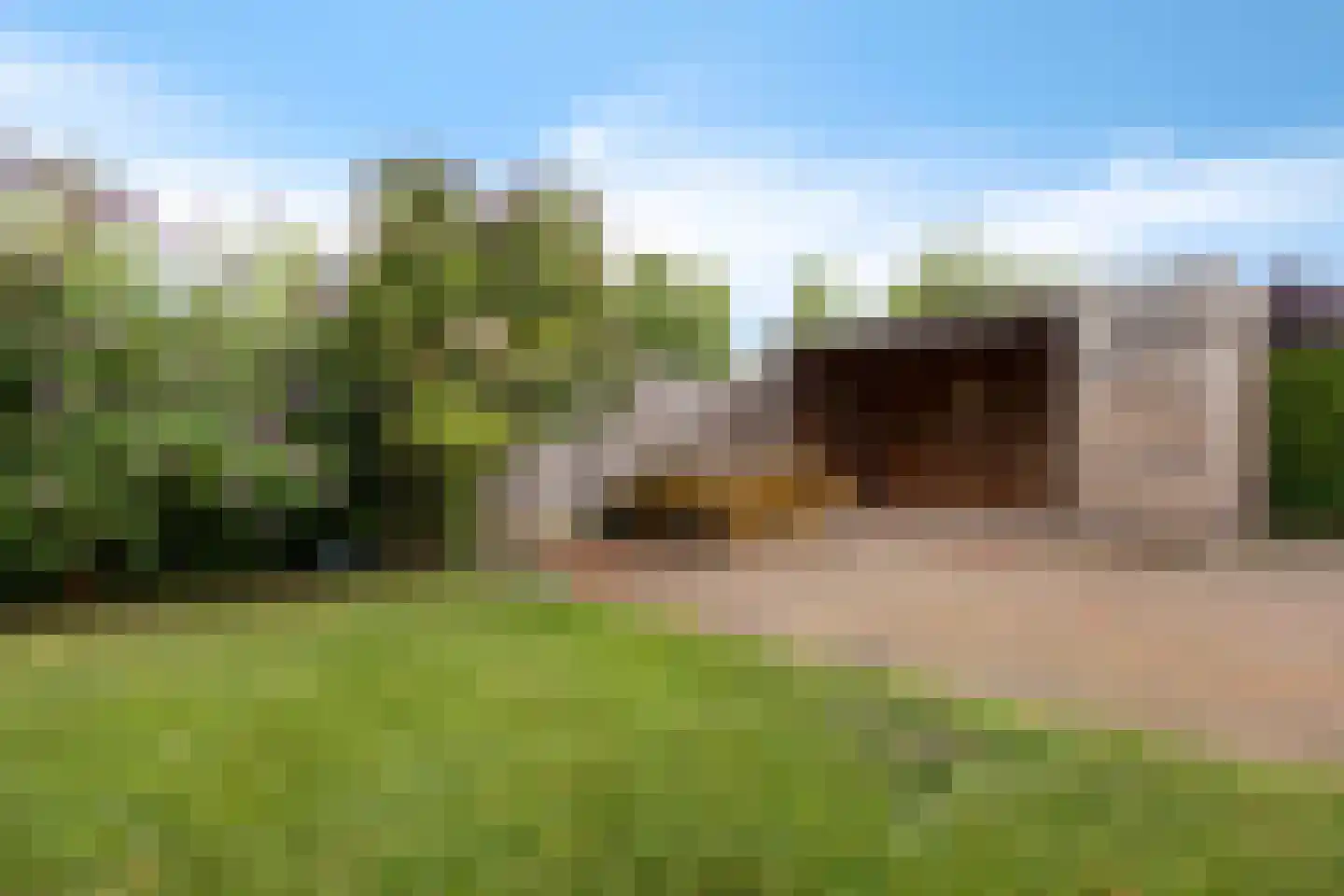 Lisdodde 76 Nieuw-Buinen thumbnail 25